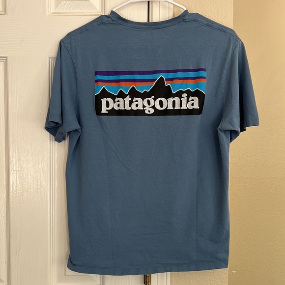 Patagonia Organic Cotton Tee - Picture 2 of 6